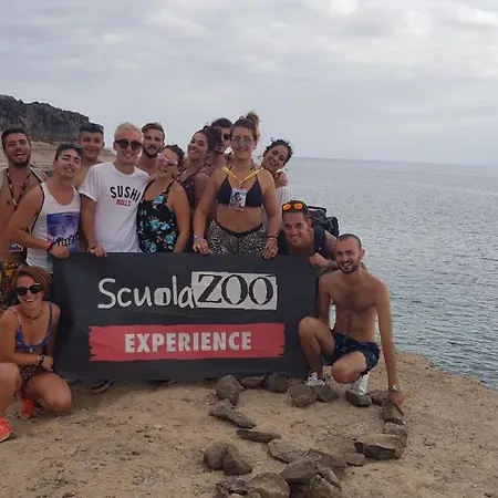 Hostel 33 Hostel Costa Adeje (Tenerife)